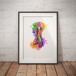 Thorax im Sagittalschnitt - Rainbow - Animus Medicus GmbH