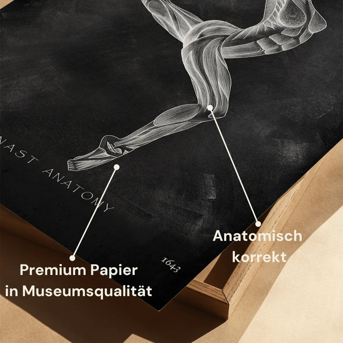 Turnen Anatomie Poster II - Chalkboard - Animus Medicus GmbH