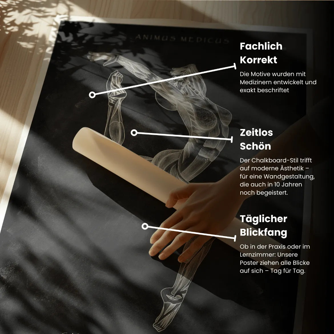 Turnen Anatomie Poster II - Chalkboard - Animus Medicus GmbH