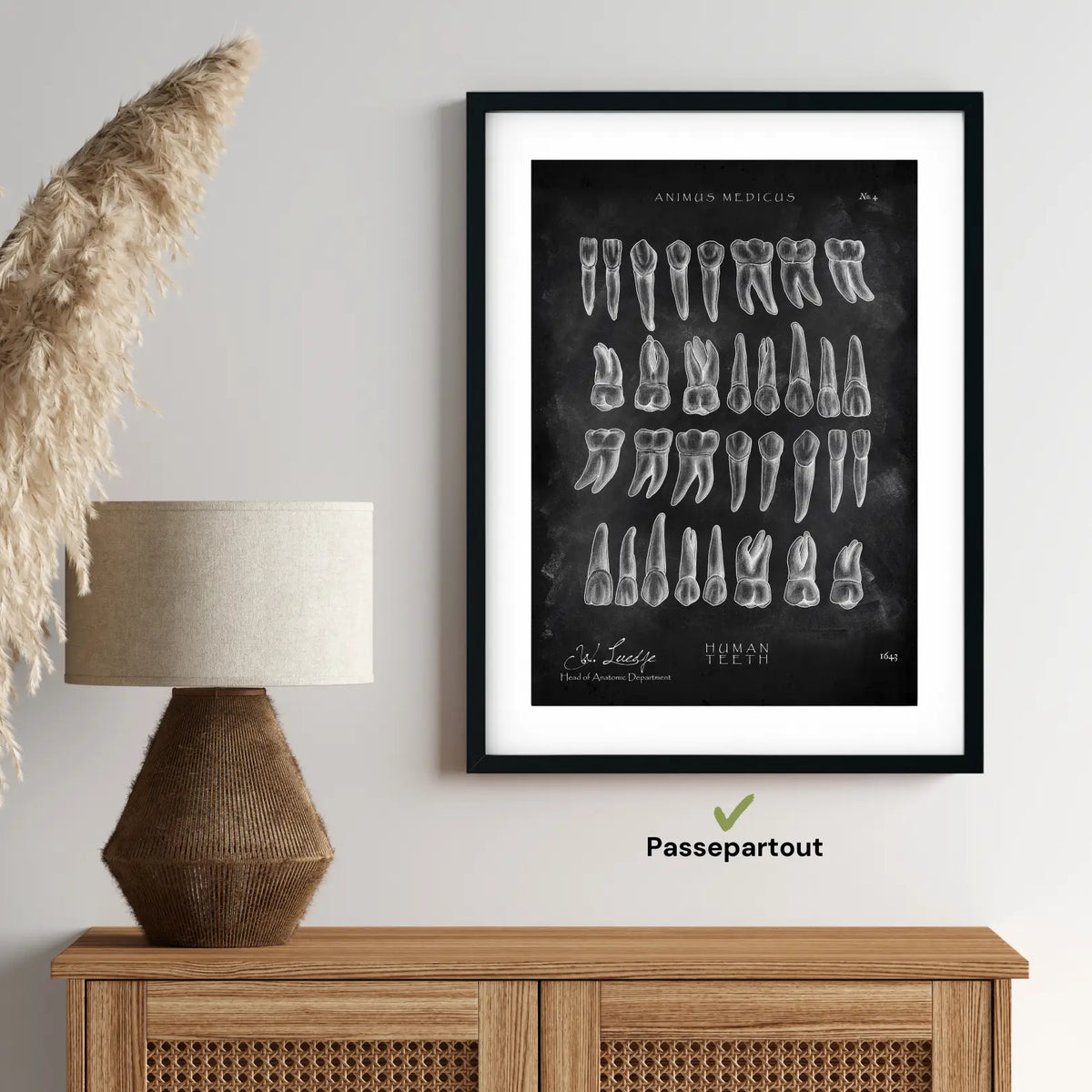 Übersicht der Zähne - Chalkboard - Animus Medicus GmbH