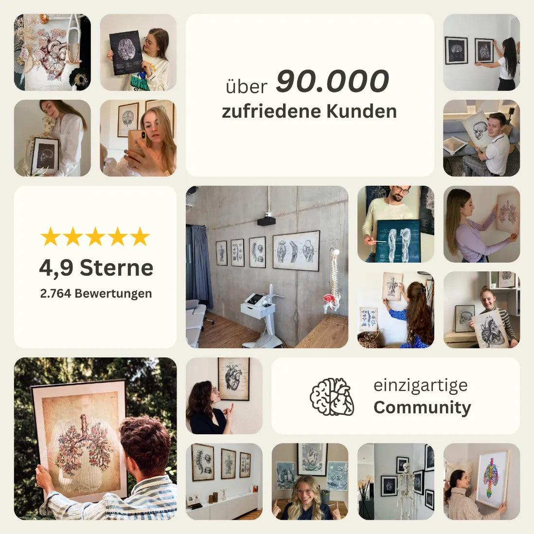 Unterschenkel Muskeln - Animus Medicus GmbH