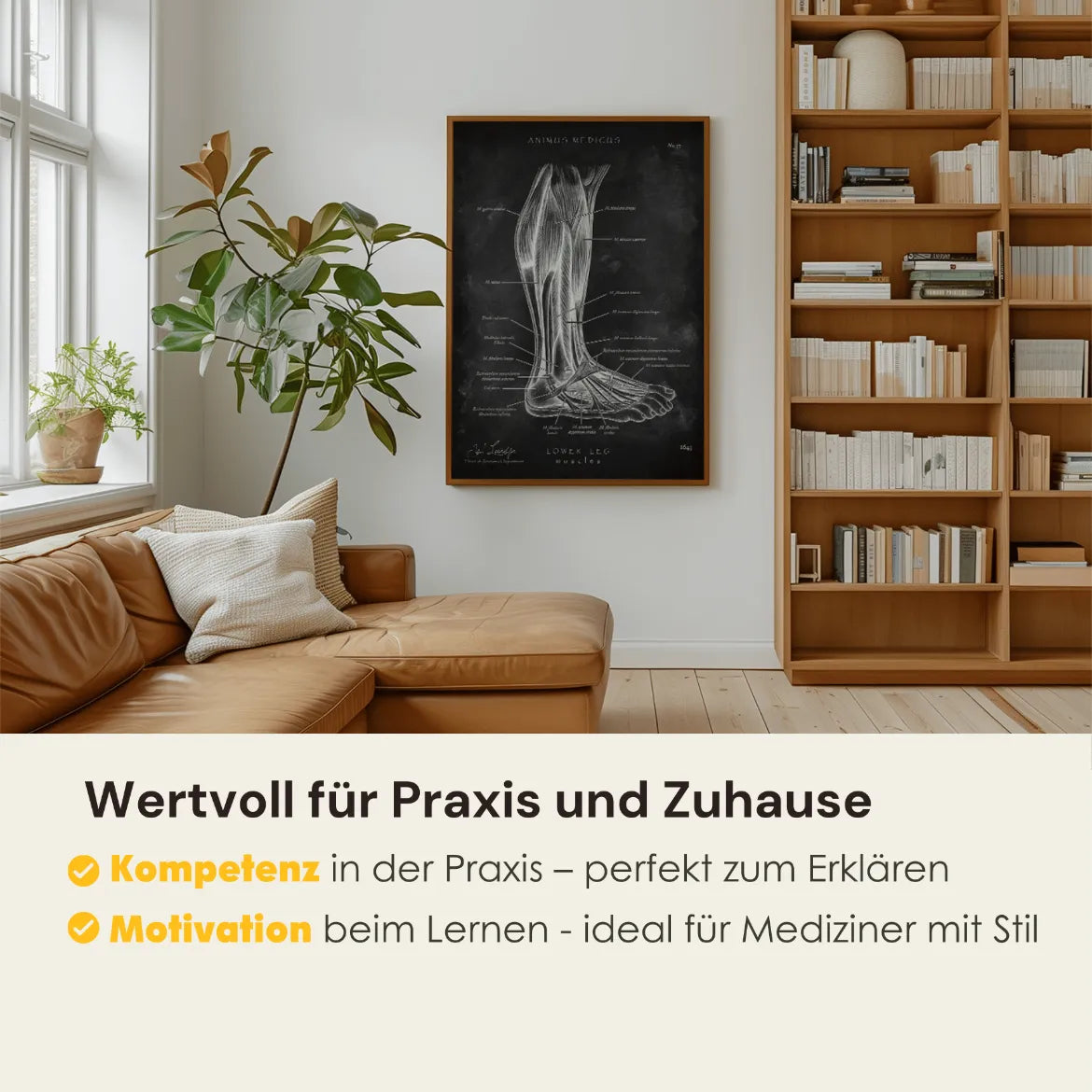 Unterschenkel Muskeln - Chalkboard - Animus Medicus GmbH