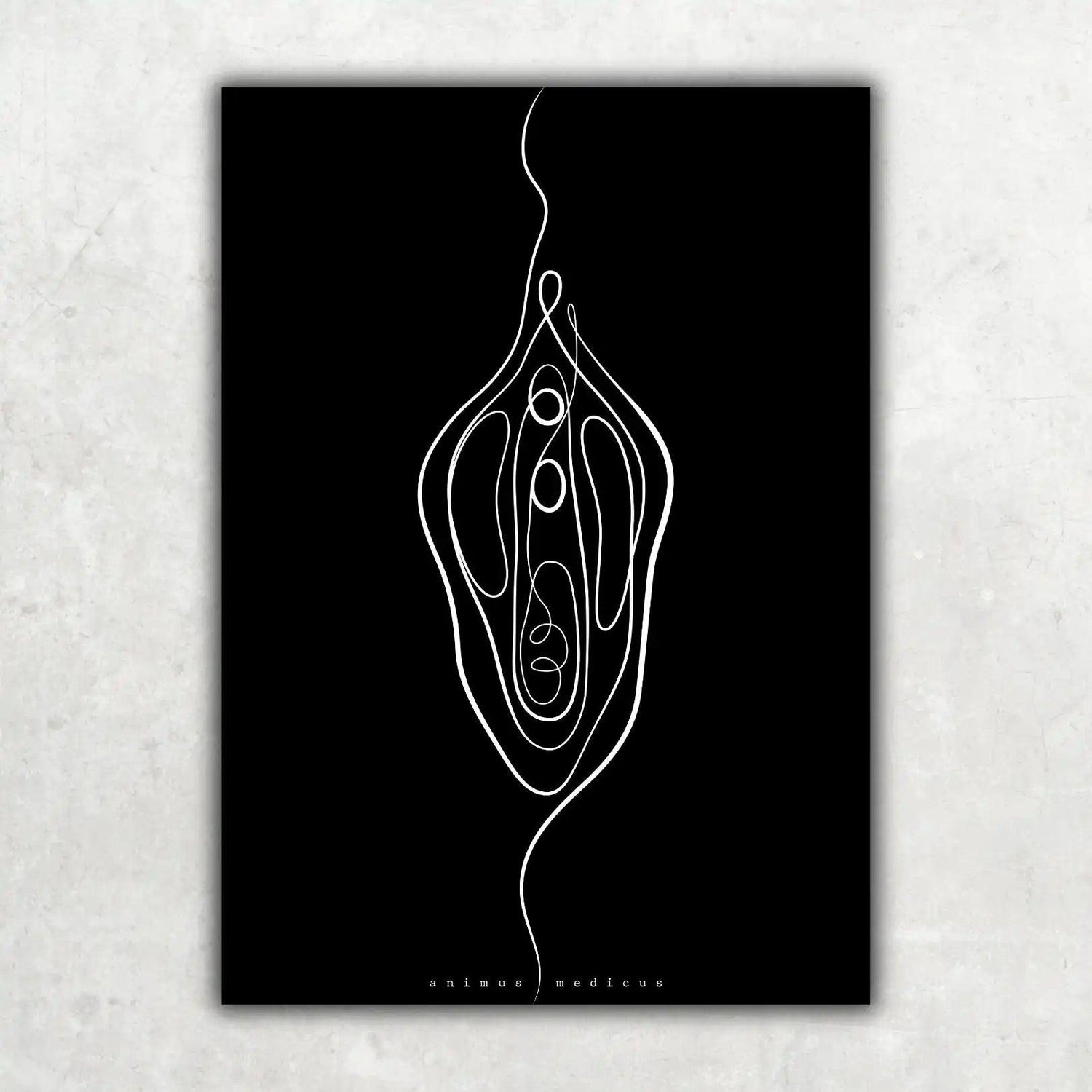Vulva Anatomie Minimalist Dark - Animus Medicus GmbH