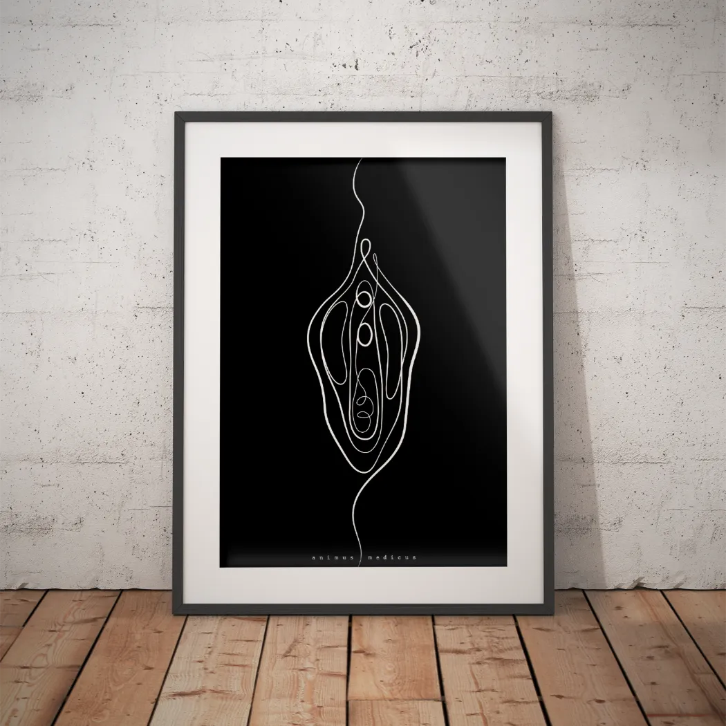 Vulva Anatomie Minimalist Dark - Animus Medicus GmbH