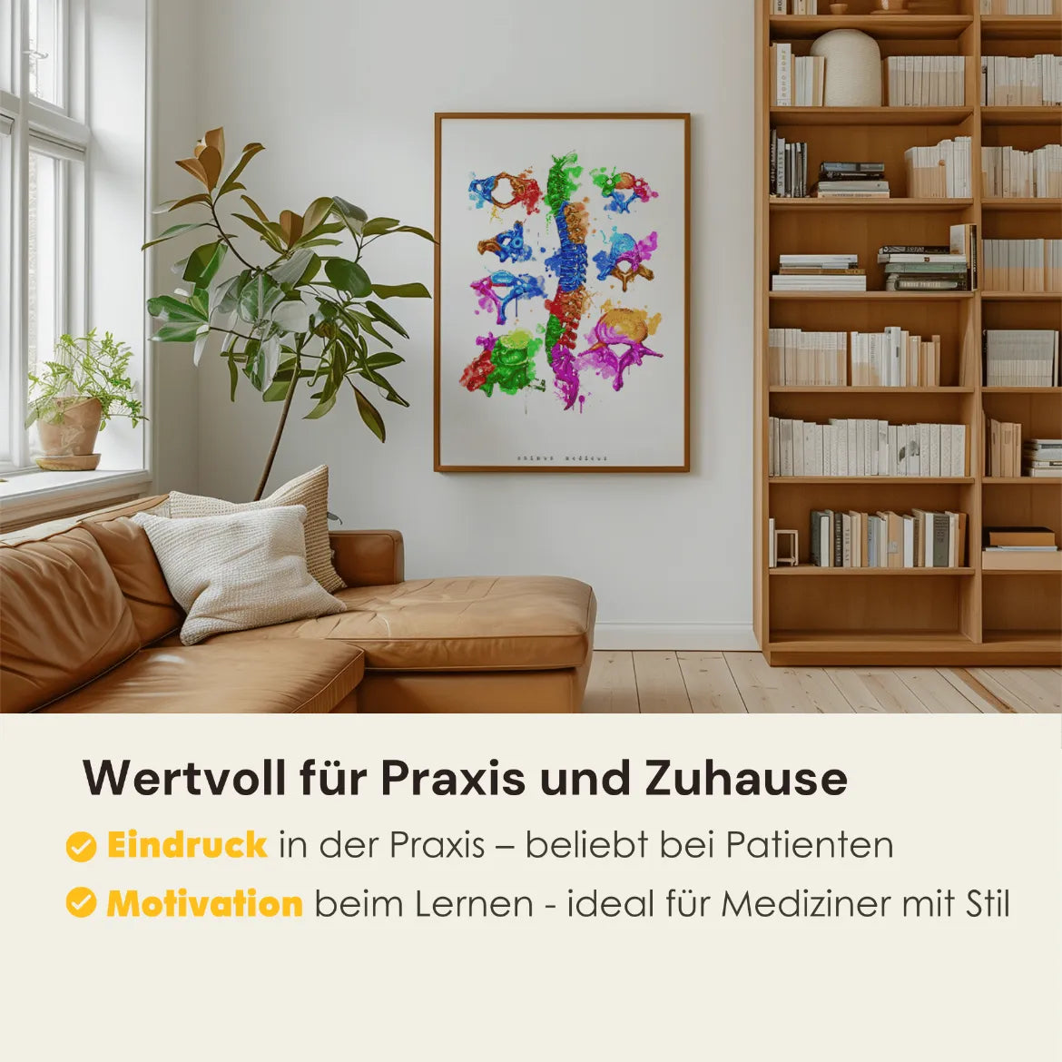 Wirbelkörper Anatomie - Rainbow - Animus Medicus GmbH