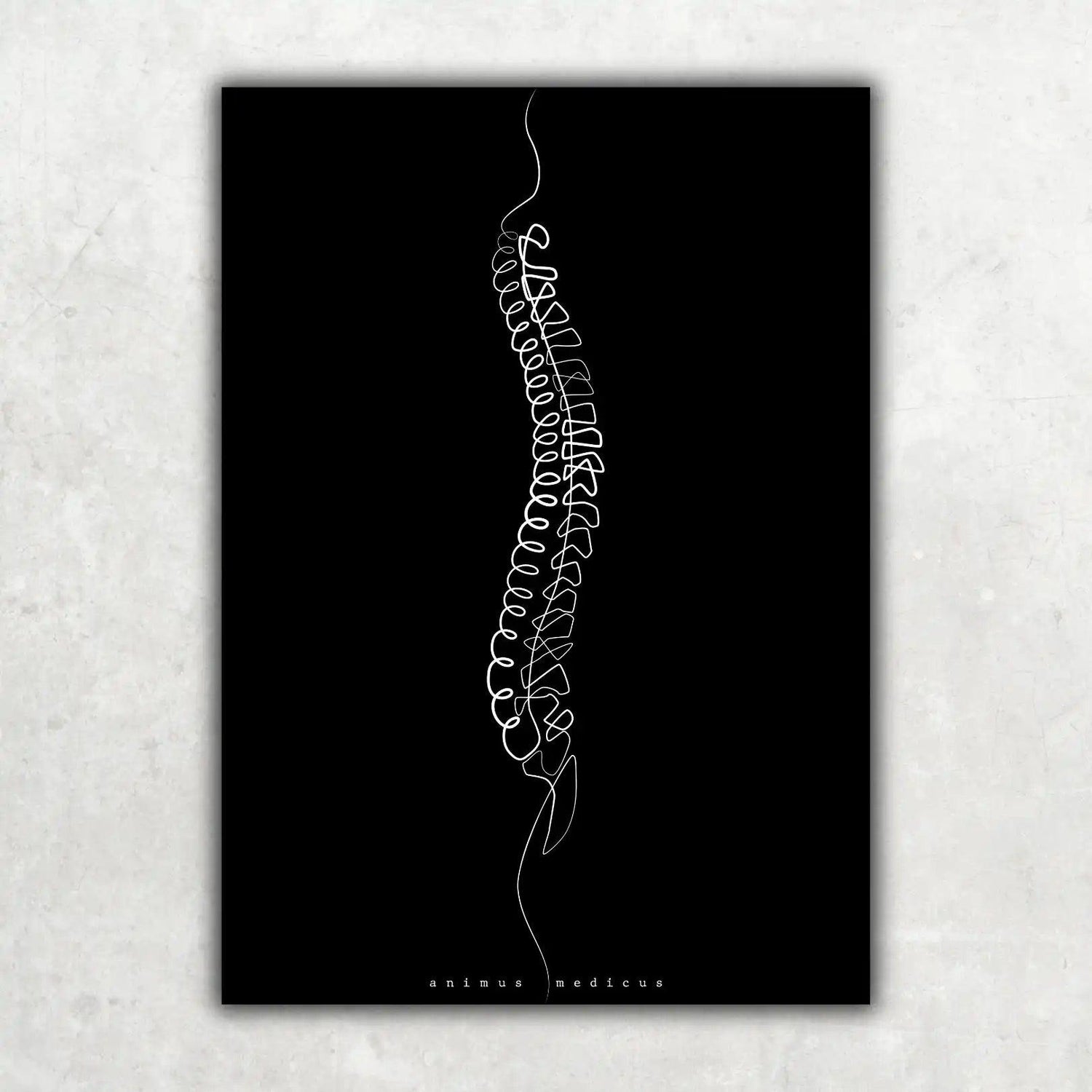 Wirbelsäule Anatomie Minimalist Dark - Animus Medicus GmbH