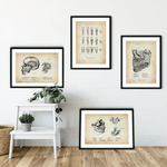 Zahnarzt Sammlung - Animus Medicus GmbH