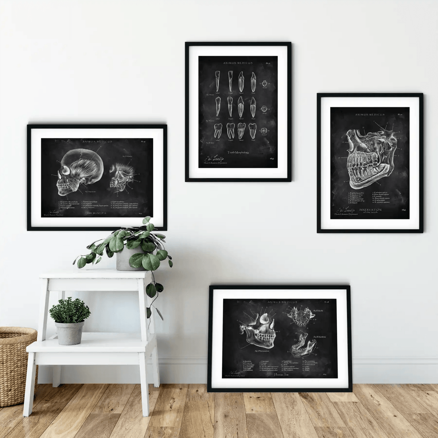 Zahnarzt Sammlung - Chalkboard - Animus Medicus GmbH