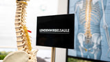 Anatomie der Lendenwirbelsäule: Aufbau & Funktion im Alltag