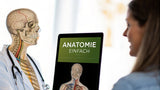 Anatomie einfach erklärt: Dein Körper im Überblick