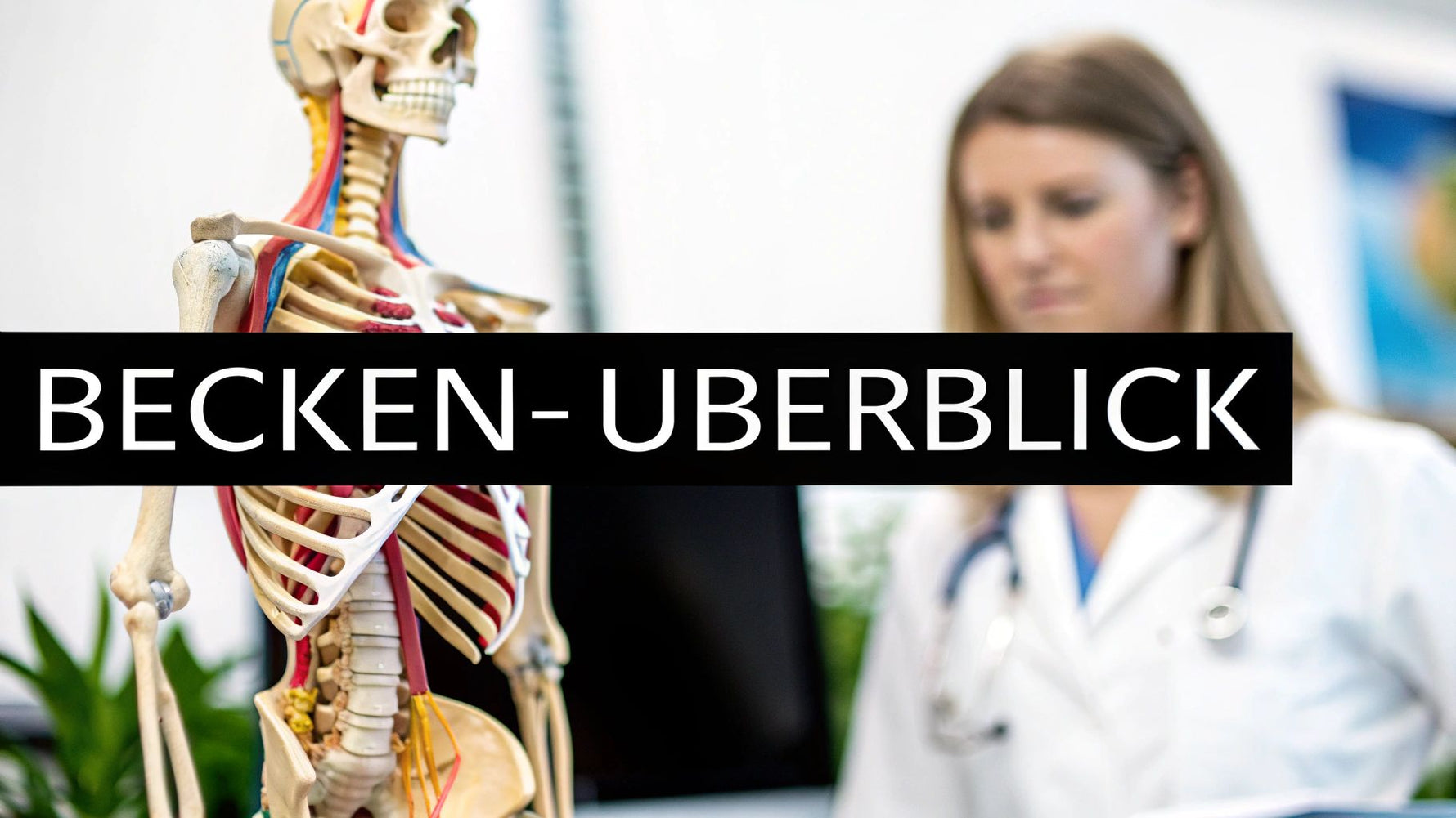 Becken-Überblick: anatomie becken frauen leicht erklärt