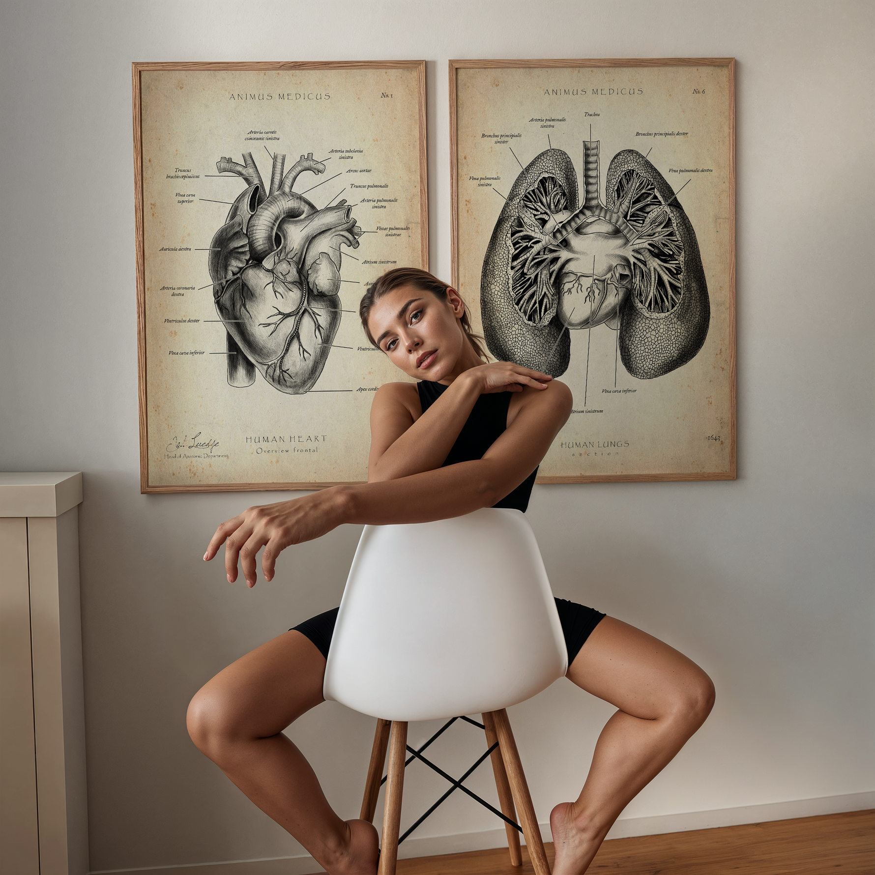 Die Revolution der Physiotherapie: Anatomie Poster im Fokus - Animus Medicus