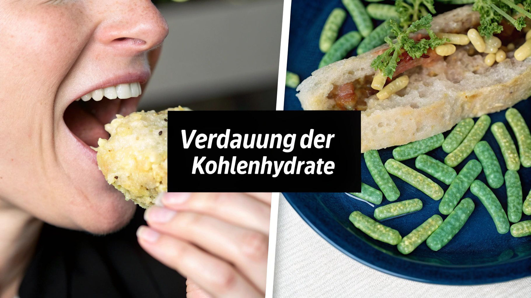 Verdauung der kohlenhydrate für das medizinstudium einfach erklärt