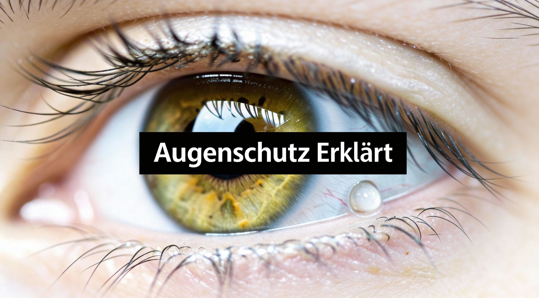 Die schutzeinrichtungen des auges verständlich erklärt
