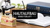 Aufbau der Haut Arbeitsblatt – Effektives Unterrichtsmaterial