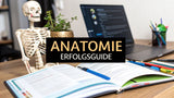 Anatomie Lernen: Der Erfolgsguide in wenigen Schritten
