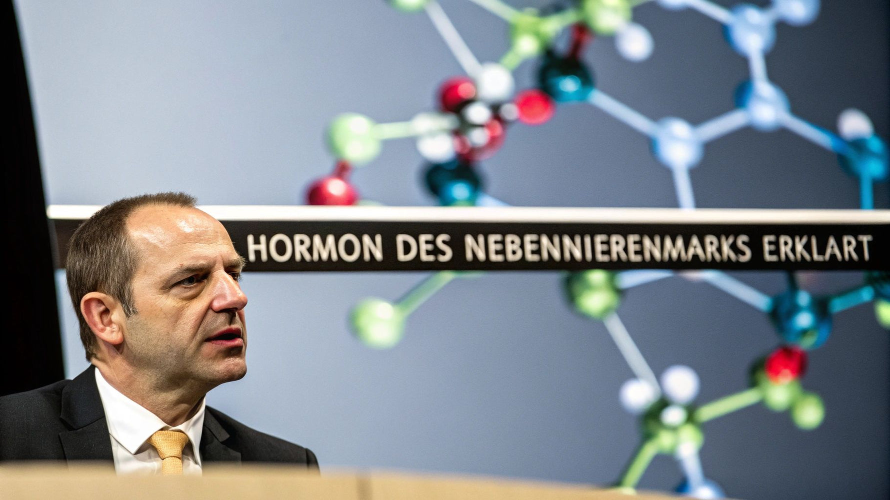 Hormon des nebennierenmarks verständlich erklärt