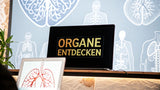 Entdecke organe des menschen arbeitsblatt interaktiv