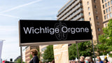 Anatomie des Körpers Organe: Die 10 wichtigsten im Überblick