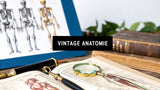 7 Anatomie Poster Vintage – Faszinierende Vintage Anatomie Poster