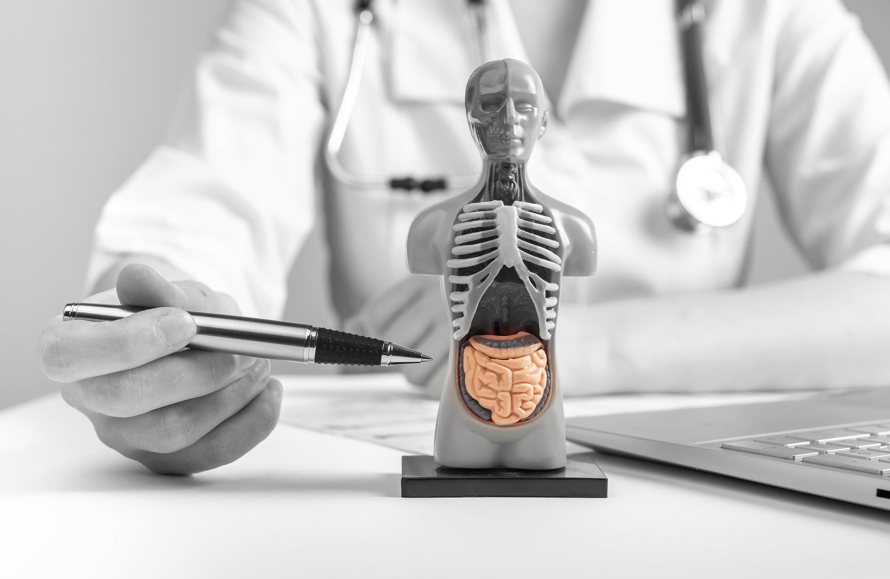 Geschichte der Anatomie – eine faszinierende Reise - Animus Medicus