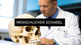 menschlicher schädel beschriftung: Kompakt & Praxisnah