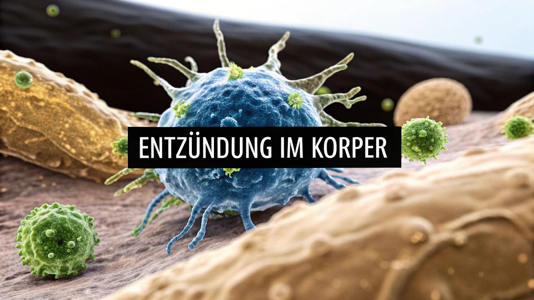 Was passiert bei einer entzündung im körper und was hilft dagegen