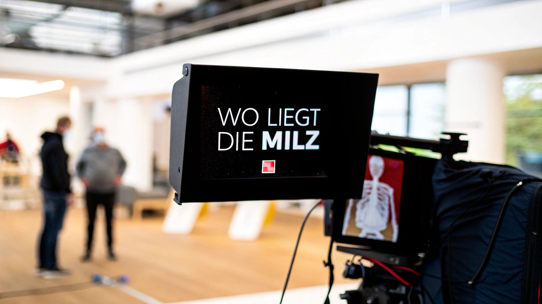 Wo liegt die Milz: wo liegt die milz, Lage und Funktionen