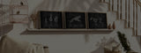 Anatomie Poster Tiermedizin