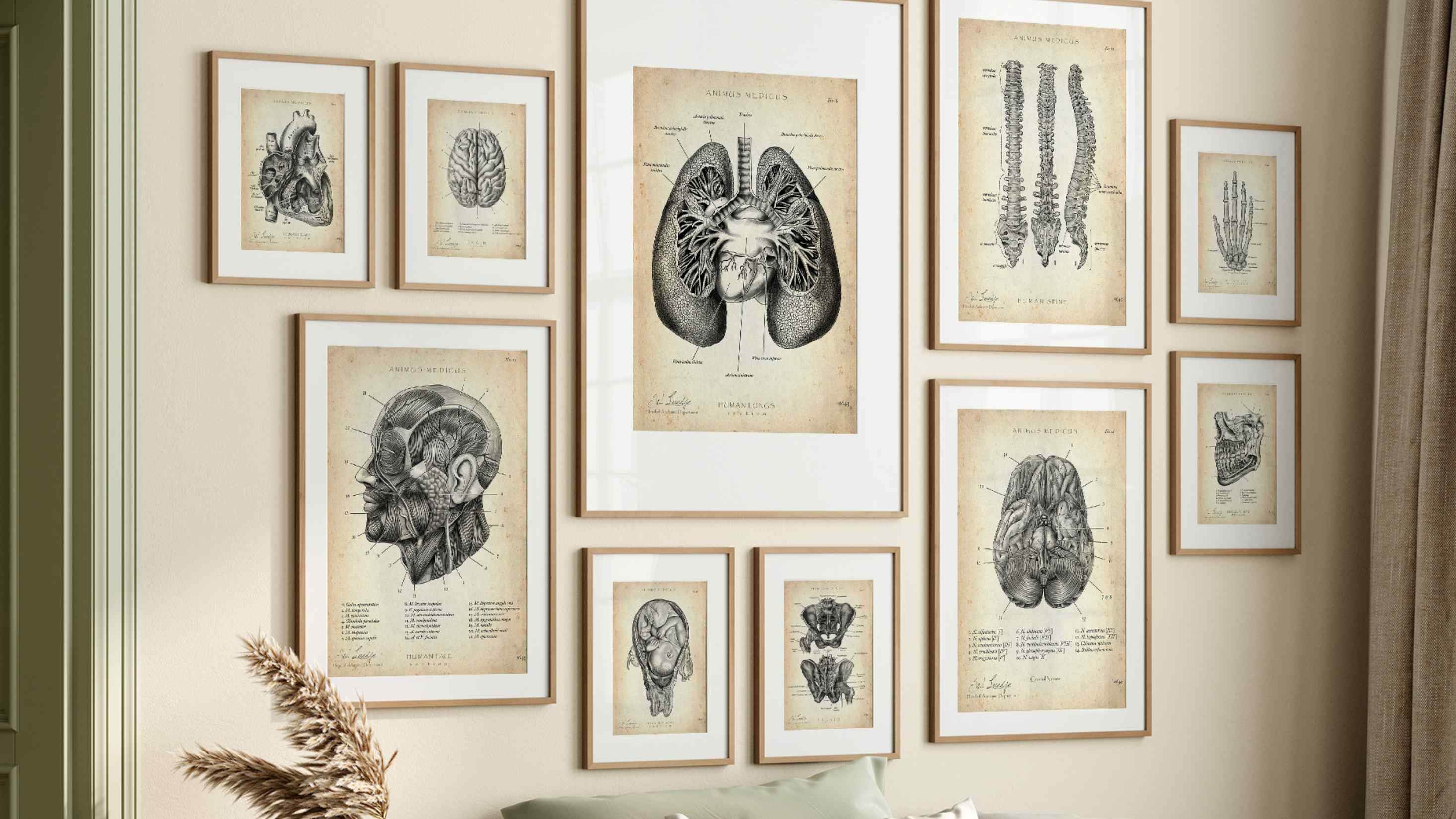 Vintage - Animus Medicus GmbH