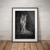 Lower leg muscles - chalkboard