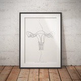 Uterus Anatomie Minimalist