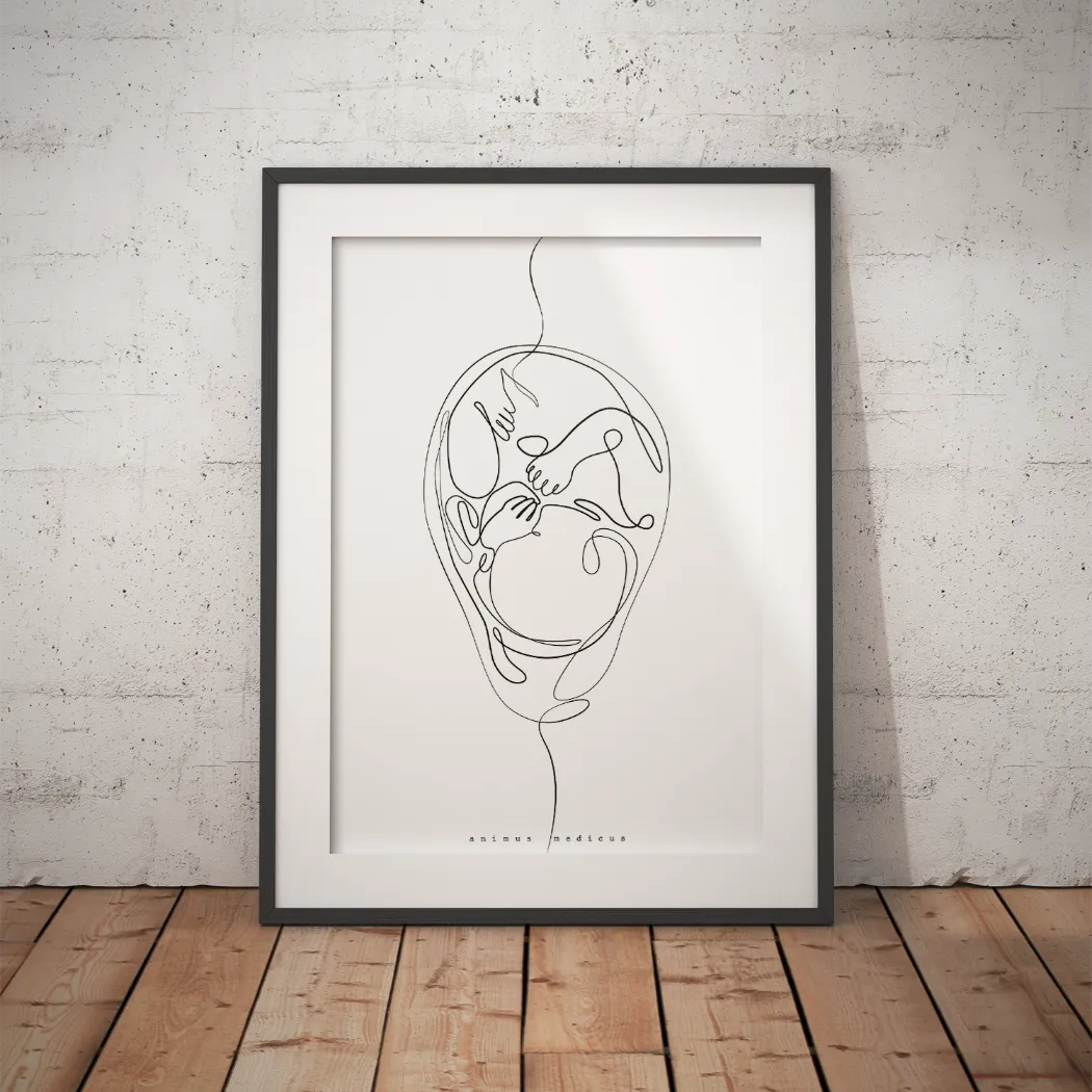 Fetus Anatomie Minimalist