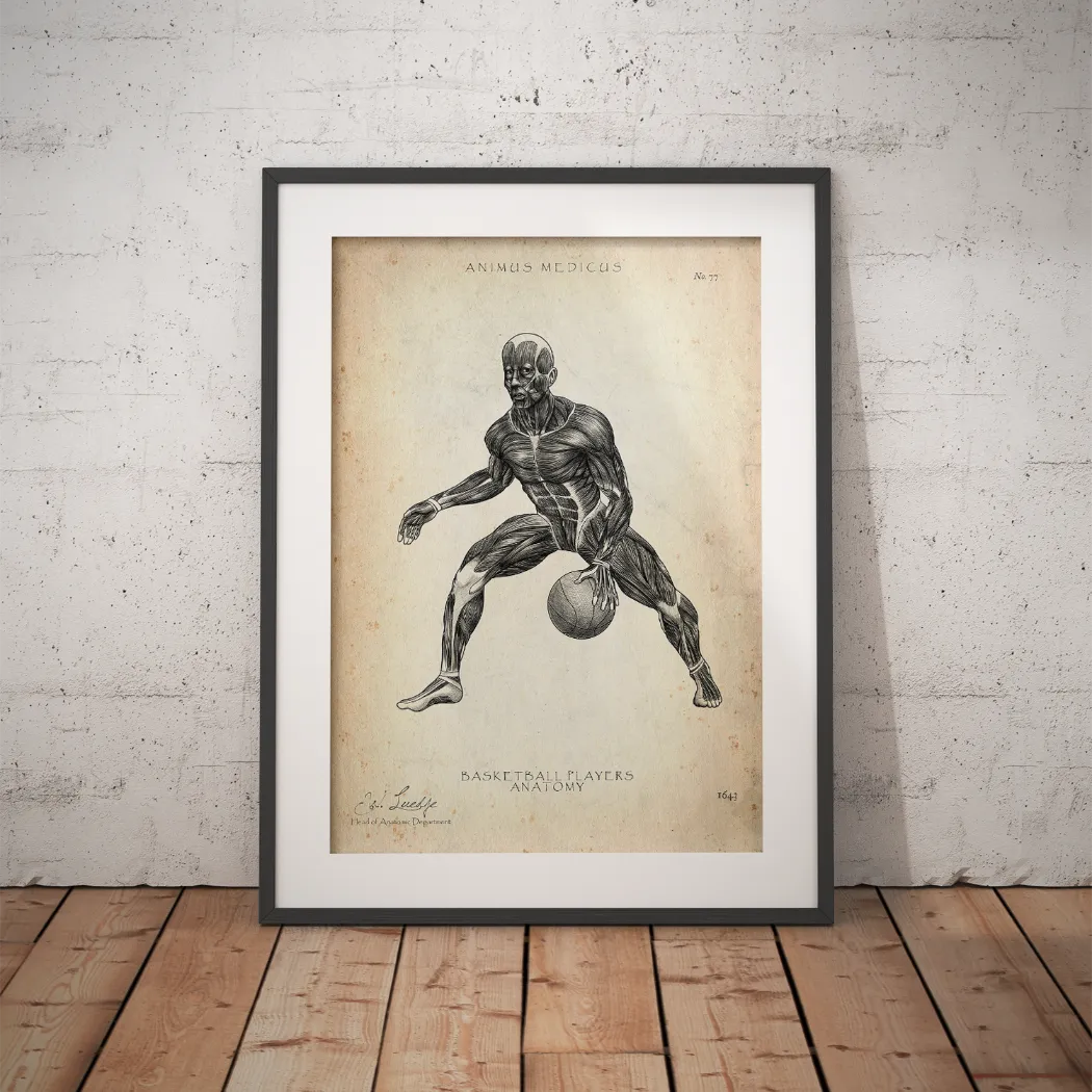 Basketball Anatomy Poster