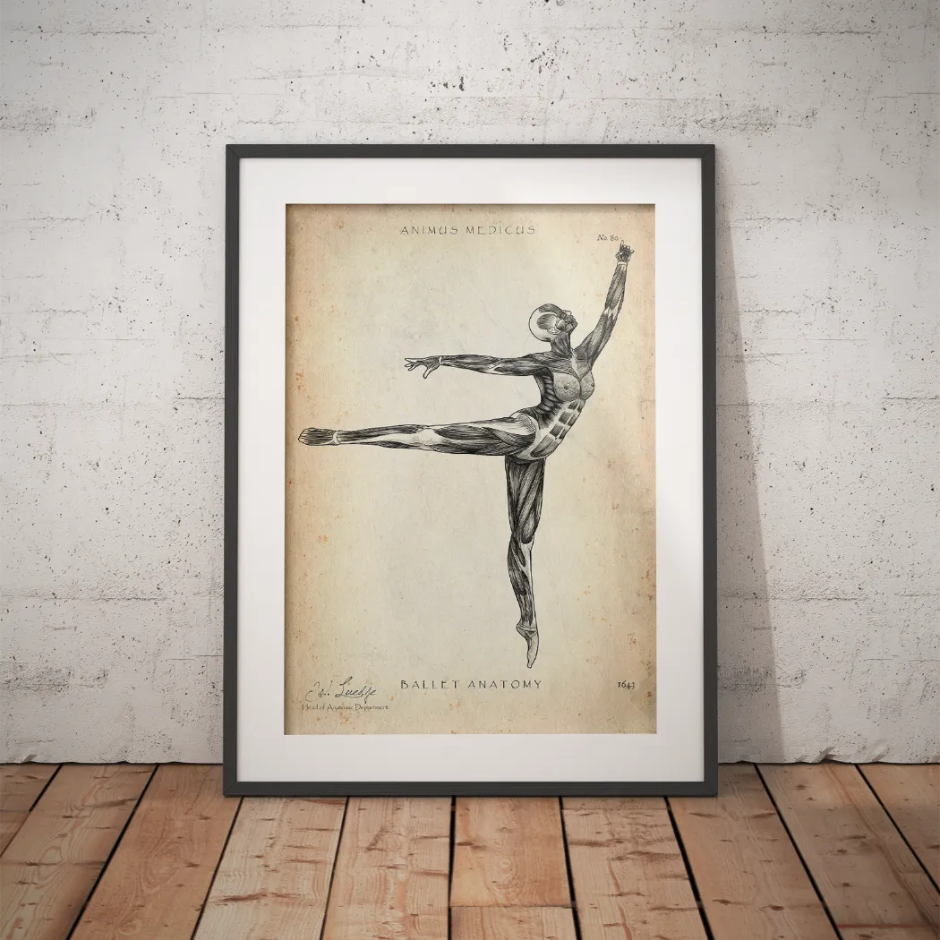 Ballet Anatomy Poster