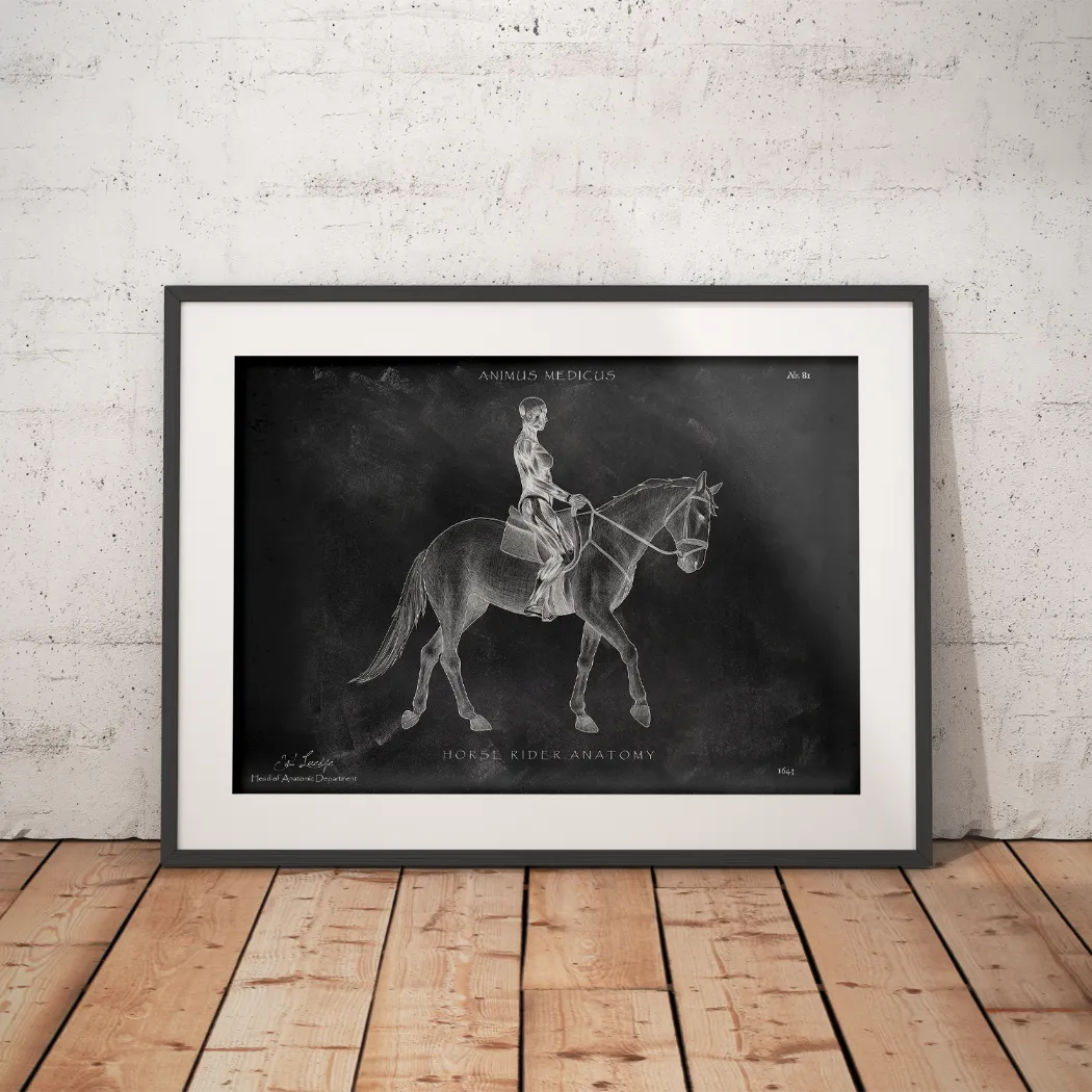 Horse Riding Anatomy Poster - Chalkboard