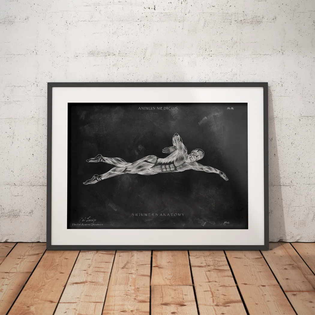 Swimming Anatomy Poster - Chalkboard