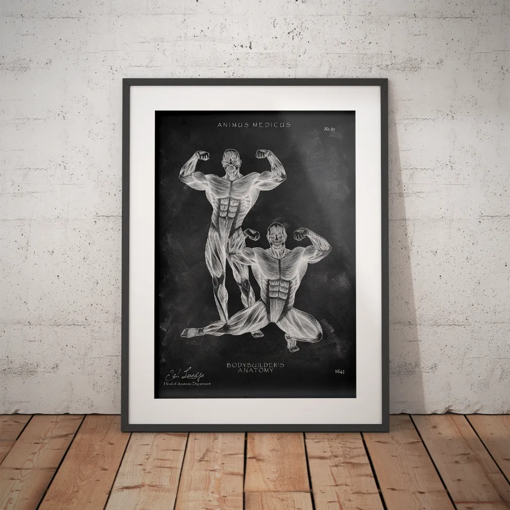 Bodybuilder Anatomie Poster - Chalkboard