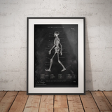 Skelett Anatomie - Chalkboard