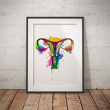 Uterus Anatomie - Rainbow