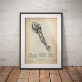 Dorsal Arm Anatomy