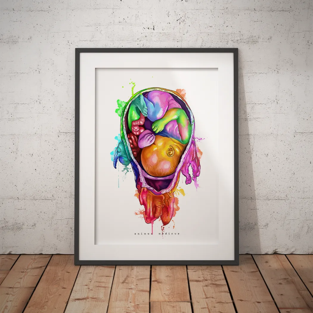Baby Anatomie - Rainbow