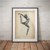 Turnen Anatomie Poster II