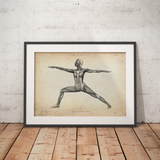 Yoga Anatomie Poster