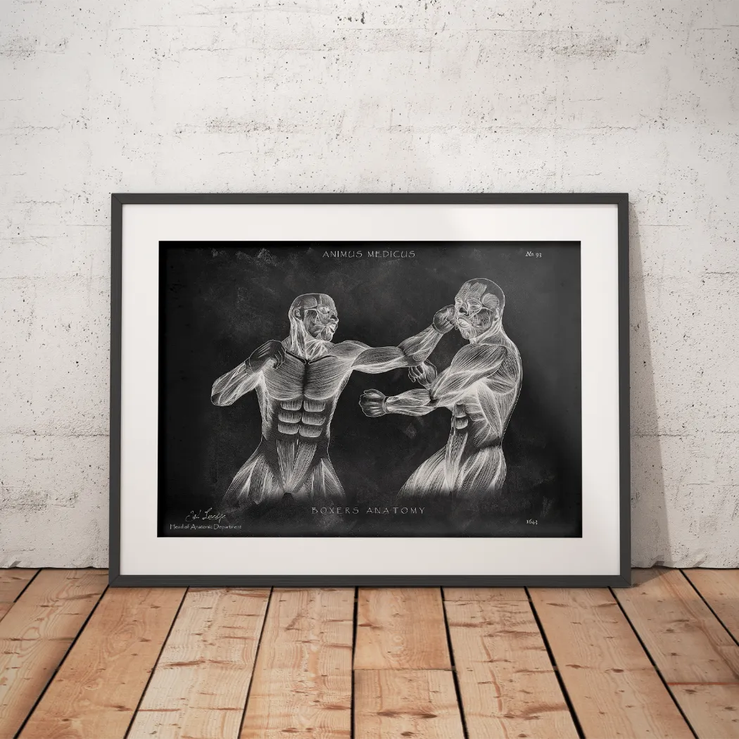 Boxer Anatomie Poster - Chalkboard