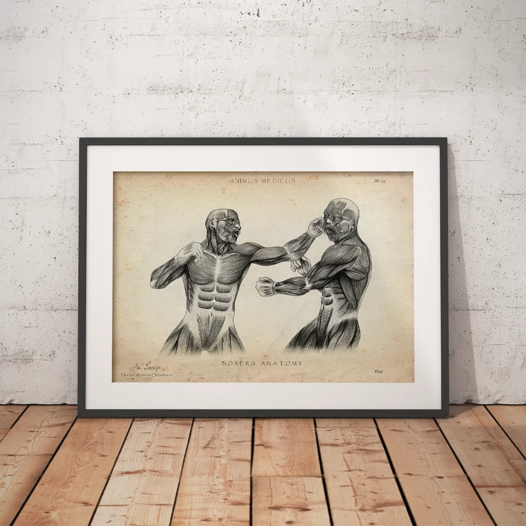 Boxer Anatomy Poster