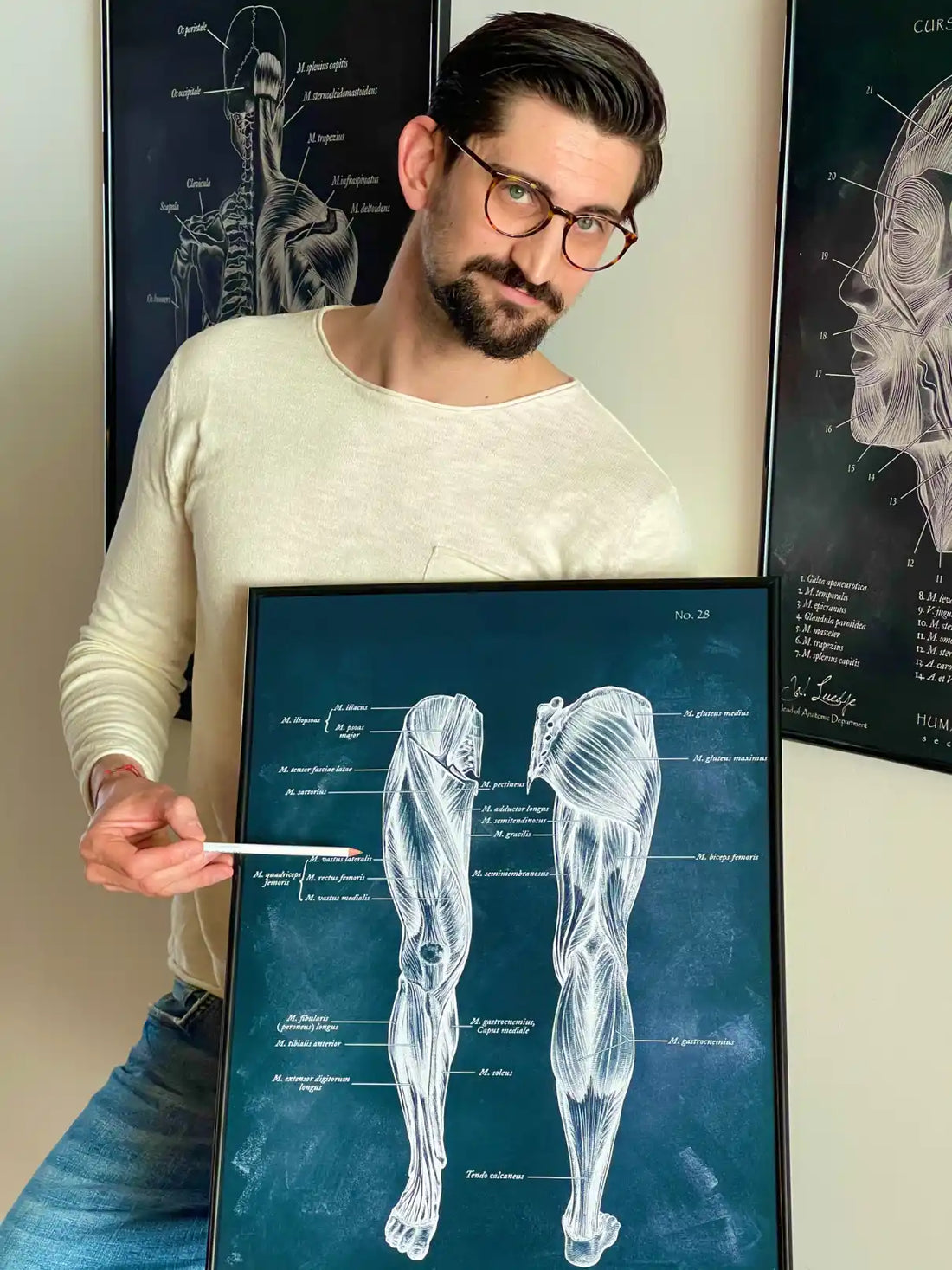 Läufer Anatomie Poster