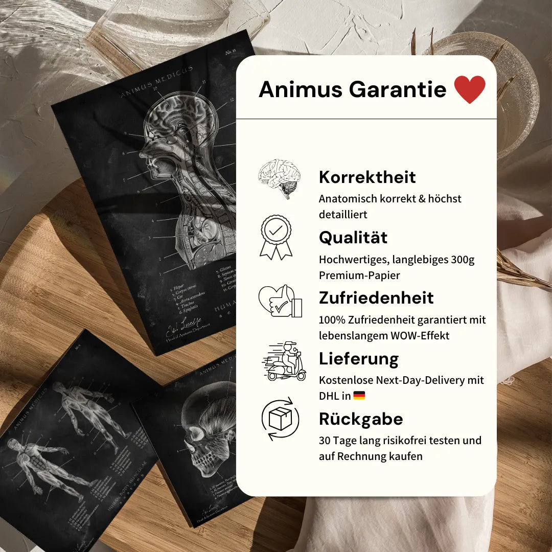 5er Paket - Bestseller - Animus Medicus GmbH