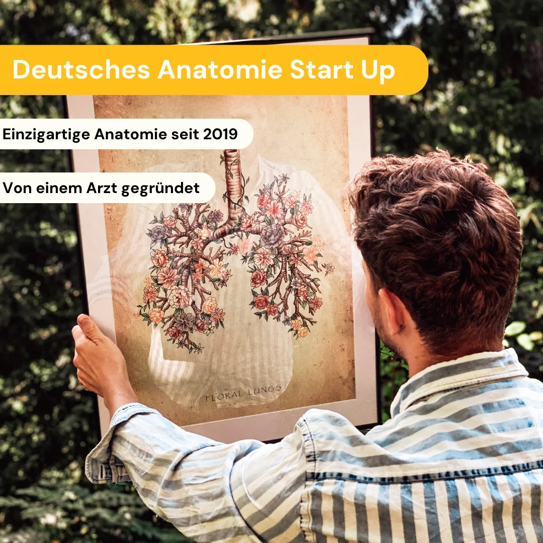 5er Paket - Bestseller - Animus Medicus GmbH