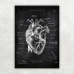 5er Paket Chalk Edition - Bestseller - Animus Medicus GmbH